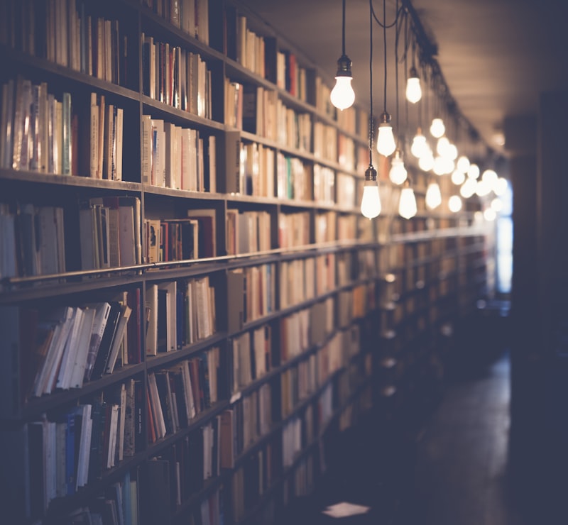 Library bookshelf filled with books and warm hanging light bulbs